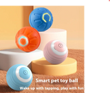 Smart Dog Toy Ball