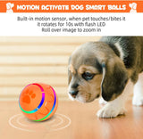 Peppy Pet Ball