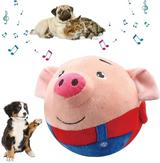 Squeaky Dog Toy