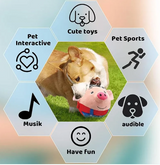 Squeaky Dog Toy