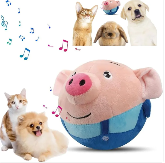 Squeaky Dog Toy