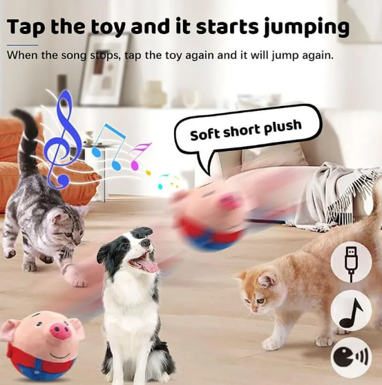 Squeaky Dog Toy