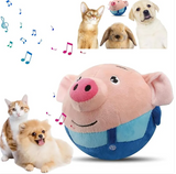 Squeaky Dog Toy